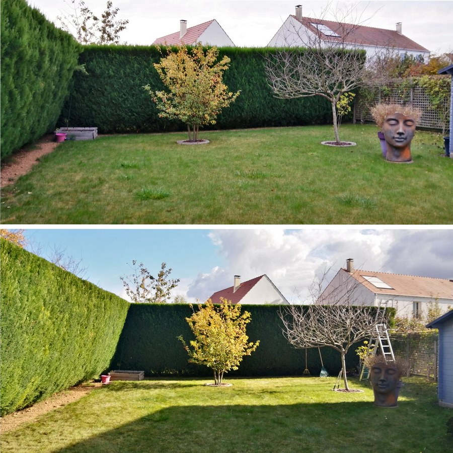 Entretien de jardin dans le Loiret