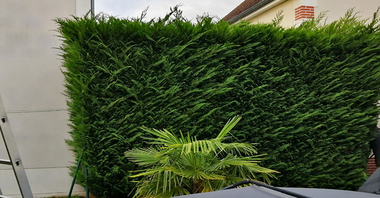 Paysagiste, élagage et aménagement de jardin à Meung-sur-Loire